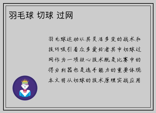 羽毛球 切球 过网