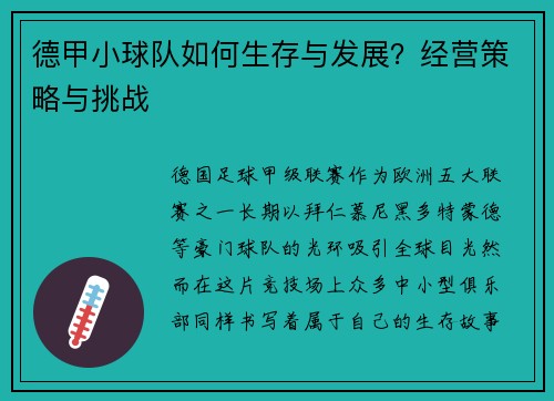 德甲小球队如何生存与发展？经营策略与挑战