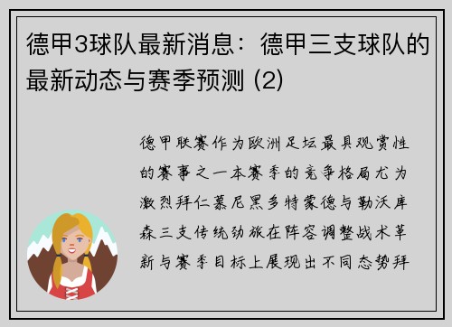 德甲3球队最新消息：德甲三支球队的最新动态与赛季预测 (2)