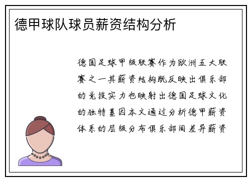 德甲球队球员薪资结构分析
